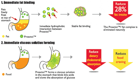 proactol-how-it-works