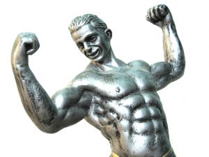 muscles