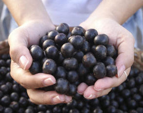 Acai Berry Benefits